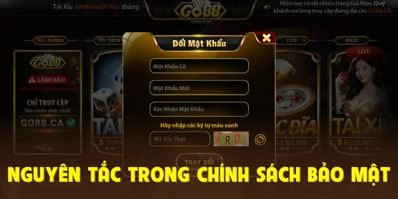 Nguyên tắc trong chính sách bảo mật