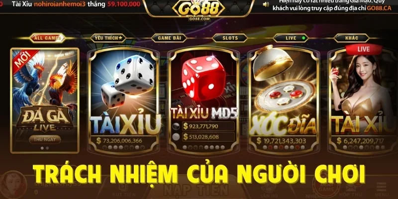 Trách nhiệm của người chơi